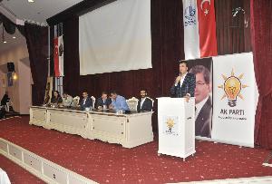 İlçe Danışma Meclisi 